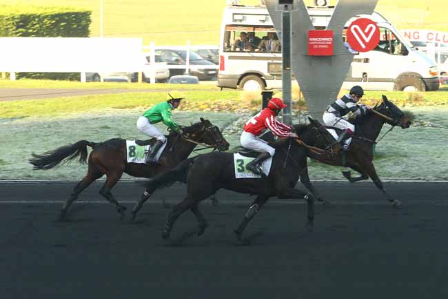Photo d'arrivée de la course pmu PRIX URGENT à PARIS-VINCENNES le Jeudi 1 décembre 2016