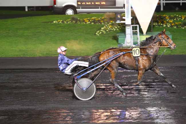 Photo d'arrivée de la course pmu PRIX PHILIA à PARIS-VINCENNES le Vendredi 2 décembre 2016