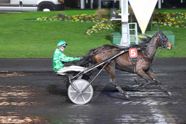 Photo d'arrivée de la course pmu PRIX OURASI à PARIS-VINCENNES le Vendredi 2 décembre 2016