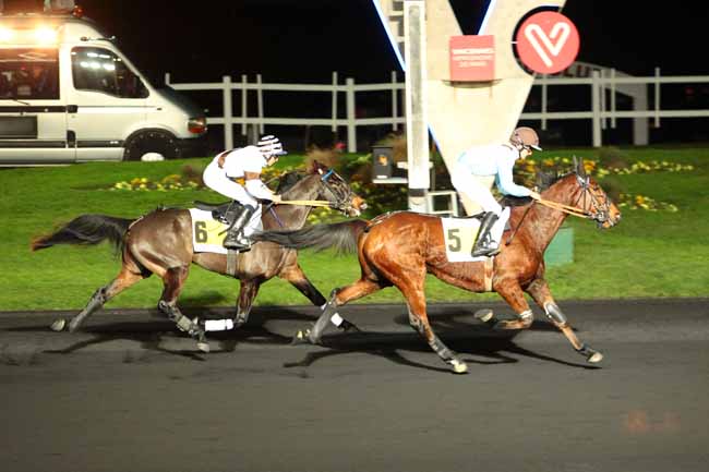 Photo d'arrivée de la course pmu PRIX DE CASTELLANE à PARIS-VINCENNES le Samedi 3 décembre 2016