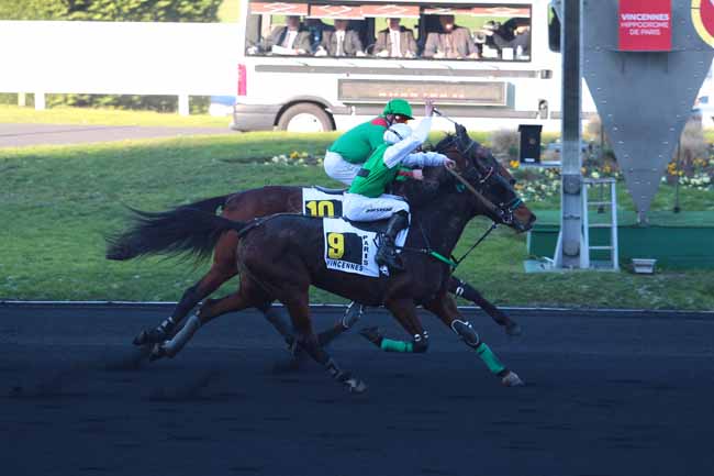 Photo d'arrivée de la course pmu PRIX PHILIPPE DU ROZIER à PARIS-VINCENNES le Dimanche 4 décembre 2016
