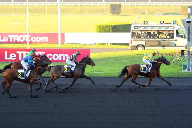Photo d'arrivée de la course pmu PRIX DE MERAL à PARIS-VINCENNES le Lundi 5 décembre 2016