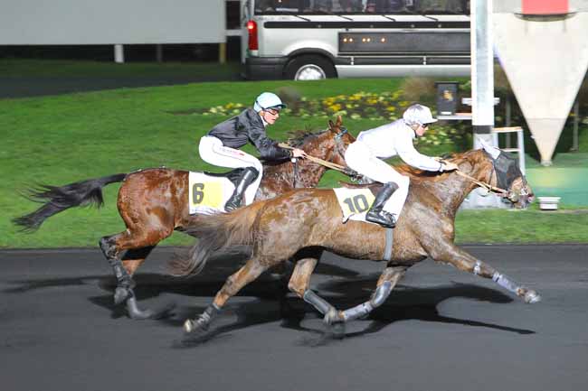 Photo d'arrivée de la course pmu PRIX DE MARANS à PARIS-VINCENNES le Lundi 5 décembre 2016