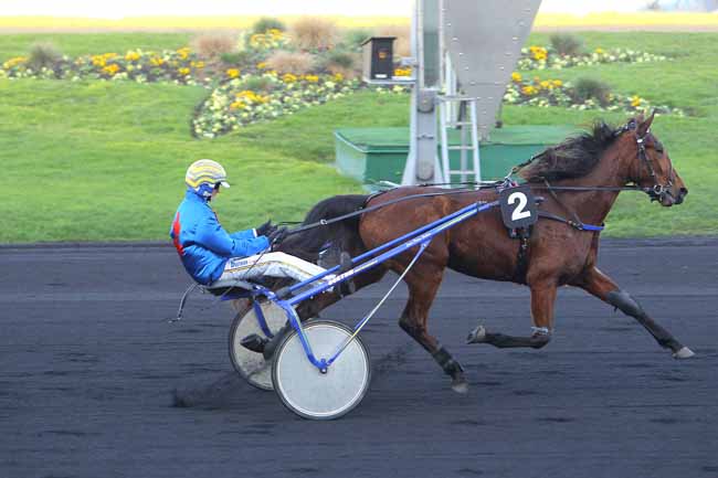 Photo d'arrivée de la course pmu PRIX DES GARDENIAS à PARIS-VINCENNES le Mardi 6 décembre 2016