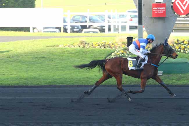 Photo d'arrivée de la course pmu PRIX DU BERRY à PARIS-VINCENNES le Mercredi 7 décembre 2016