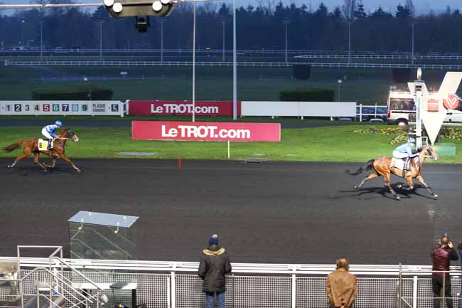 Photo d'arrivée de la course pmu PRIX D'ALES à PARIS-VINCENNES le Mercredi 7 décembre 2016