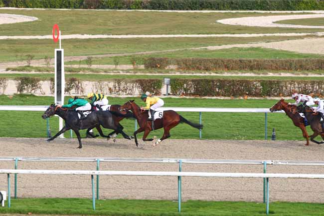 Photo d'arrivée de la course pmu PRIX HABITAT à DEAUVILLE le Mercredi 7 décembre 2016