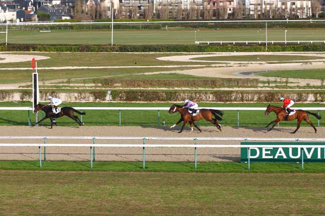 Photo d'arrivée de la course pmu PRIX DES PERRETS à DEAUVILLE le Mercredi 7 décembre 2016