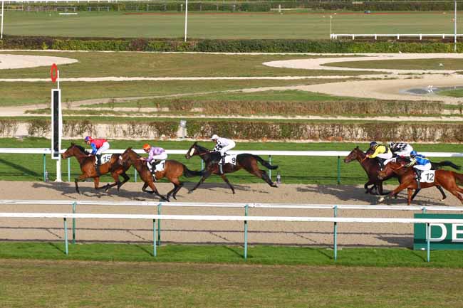 Photo d'arrivée de la course pmu PRIX DE MIRANDE à DEAUVILLE le Mercredi 7 décembre 2016