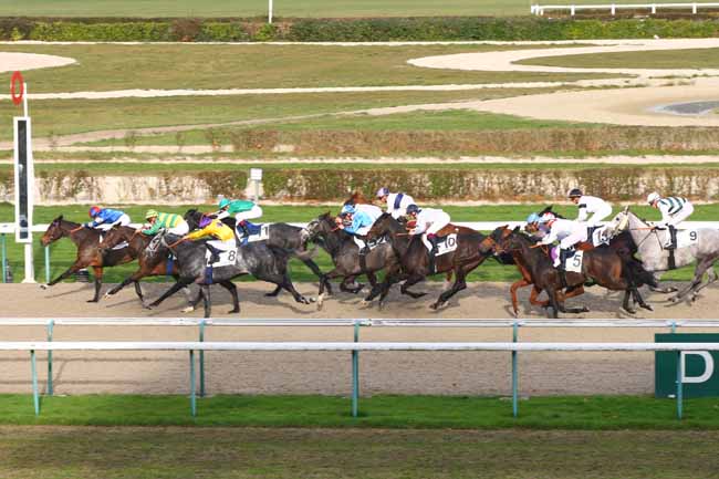 Photo d'arrivée de la course pmu PRIX DE LA PLAGE à DEAUVILLE le Mercredi 7 décembre 2016