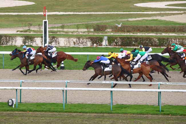 Photo d'arrivée de la course pmu PRIX DES COMMEAUX à DEAUVILLE le Mercredi 7 décembre 2016