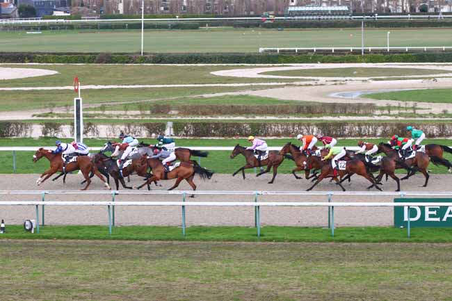 Photo d'arrivée de la course pmu PRIX DE CERISY à DEAUVILLE le Mercredi 7 décembre 2016