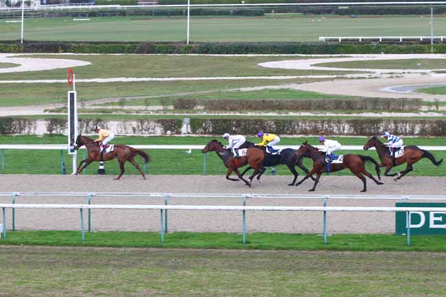Photo d'arrivée de la course pmu PRIX DE BREUIL à DEAUVILLE le Mercredi 7 décembre 2016
