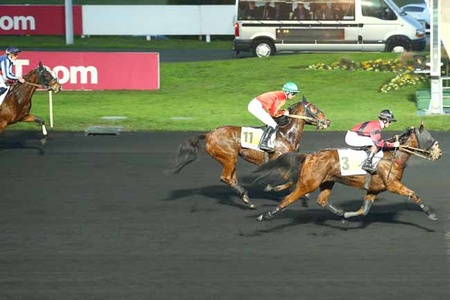 Photo d'arrivée de la course pmu PRIX DE PLESSE à PARIS-VINCENNES le Jeudi 8 décembre 2016