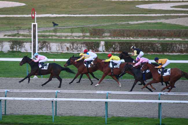 Photo d'arrivée de la course pmu PRIX DE MEHERAN à DEAUVILLE le Jeudi 8 décembre 2016