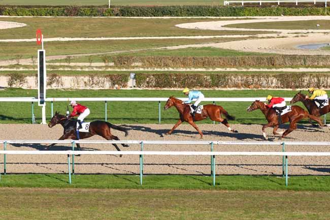 Photo d'arrivée de la course pmu PRIX DU PONT DE LA PIERRE à DEAUVILLE le Jeudi 8 décembre 2016