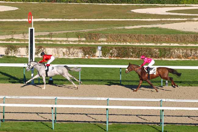 Photo d'arrivée de la course pmu PRIX DE PRECOLETTE à DEAUVILLE le Jeudi 8 décembre 2016
