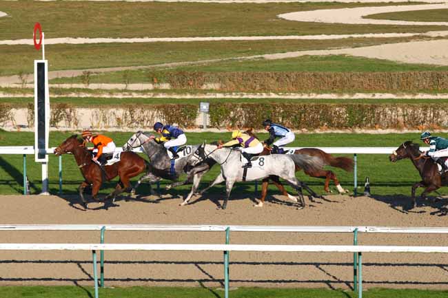 Photo d'arrivée de la course pmu PRIX DE MERITE à DEAUVILLE le Jeudi 8 décembre 2016