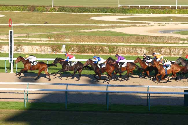 Photo d'arrivée de la course pmu PRIX DE MEDAVY à DEAUVILLE le Jeudi 8 décembre 2016