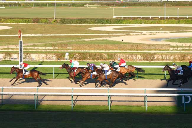 Photo d'arrivée de la course pmu PRIX DE MORTRIE à DEAUVILLE le Jeudi 8 décembre 2016