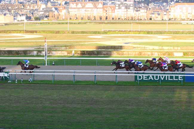 Photo d'arrivée de la course pmu PRIX DE BERD'HUIS à DEAUVILLE le Jeudi 8 décembre 2016