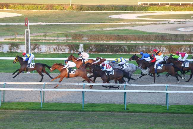 Photo d'arrivée de la course pmu PRIX DE BEAUFAIS à DEAUVILLE le Jeudi 8 décembre 2016