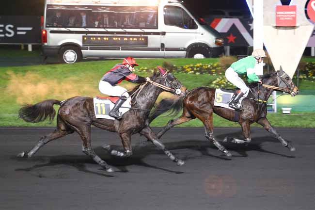 Photo d'arrivée de la course pmu PRIX MELUSINA à PARIS-VINCENNES le Vendredi 9 décembre 2016