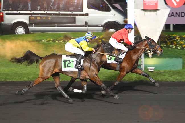 Photo d'arrivée de la course pmu PRIX EDNA à PARIS-VINCENNES le Vendredi 9 décembre 2016