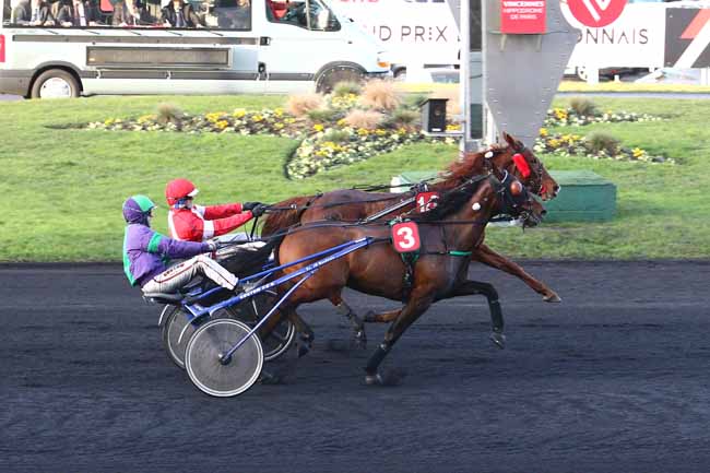 Photo d'arrivée de la course pmu PRIX DE CRECY-LA-CHAPELLE à PARIS-VINCENNES le Dimanche 11 décembre 2016