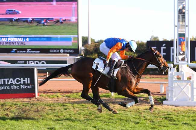 Photo d'arrivée de la course pmu PRIX DU MONT VIAL à CAGNES-SUR-MER le Lundi 12 décembre 2016