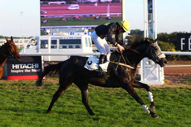 Photo d'arrivée de la course pmu PRIX JEAN DOUMEN à CAGNES-SUR-MER le Lundi 12 décembre 2016