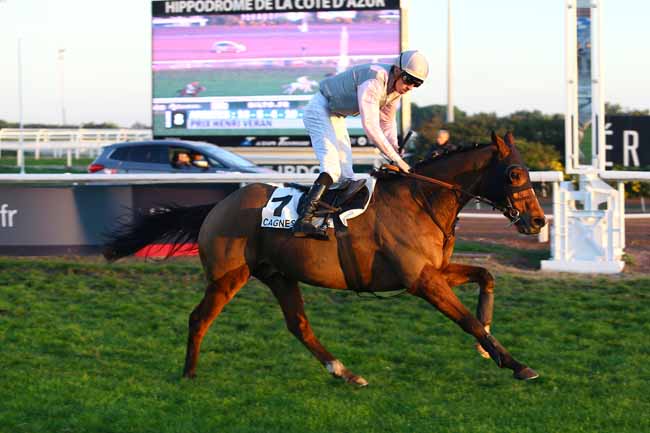 Photo d'arrivée de la course pmu PRIX HENRI VERAN à CAGNES-SUR-MER le Lundi 12 décembre 2016