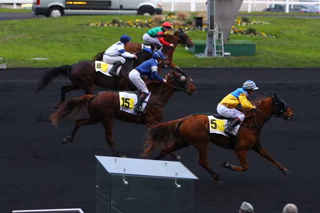 Photo d'arrivée de la course pmu PRIX DE ROANNE à PARIS-VINCENNES le Lundi 12 décembre 2016