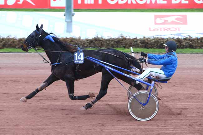 Photo d'arrivée de la course pmu PRIX DES CALCEOLAIRES à CABOURG le Mardi 13 décembre 2016