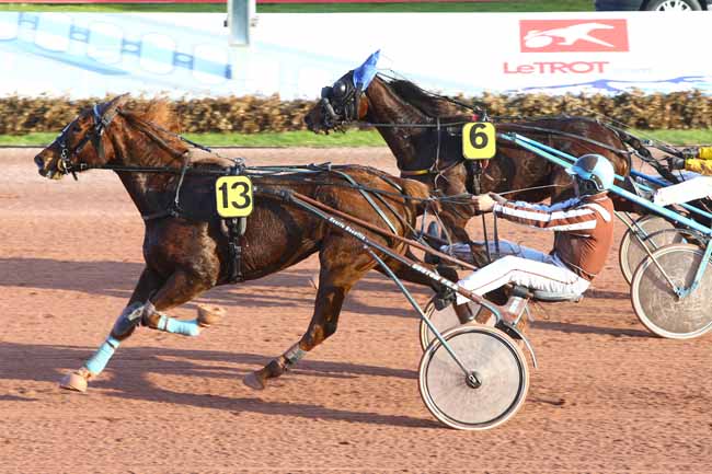 Photo d'arrivée de la course pmu PRIX DES MARJOLAINES (GR B) à CABOURG le Mardi 13 décembre 2016