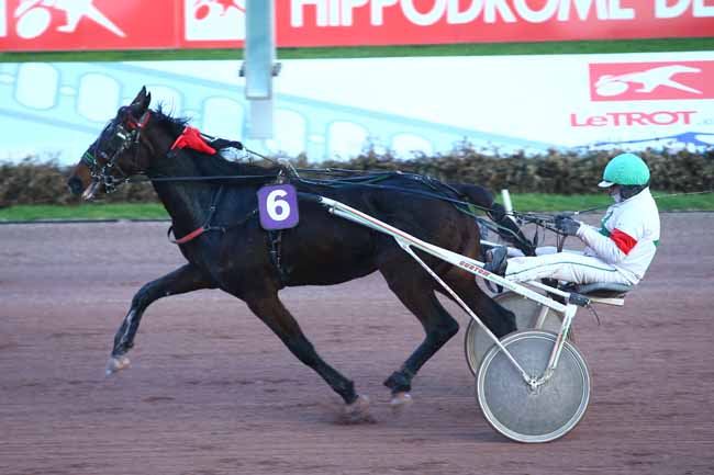 Photo d'arrivée de la course pmu PRIX D'AMBRIERES à CABOURG le Mardi 13 décembre 2016