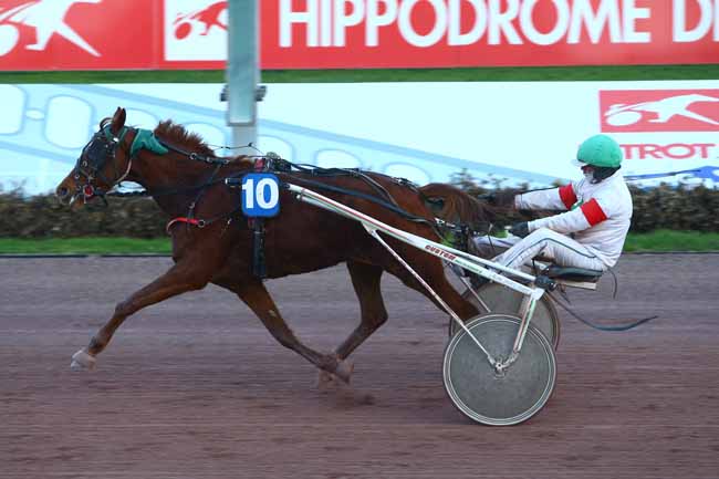 Photo d'arrivée de la course pmu PRIX DES TILLEULS à CABOURG le Mardi 13 décembre 2016