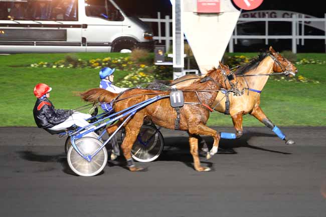 Photo d'arrivée de la course pmu PRIX TAYJETA à PARIS-VINCENNES le Mardi 13 décembre 2016