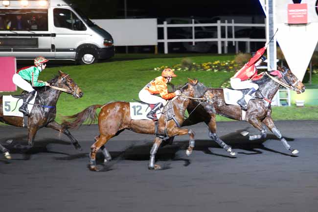 Photo d'arrivée de la course pmu PRIX WERINGIA à PARIS-VINCENNES le Mardi 13 décembre 2016