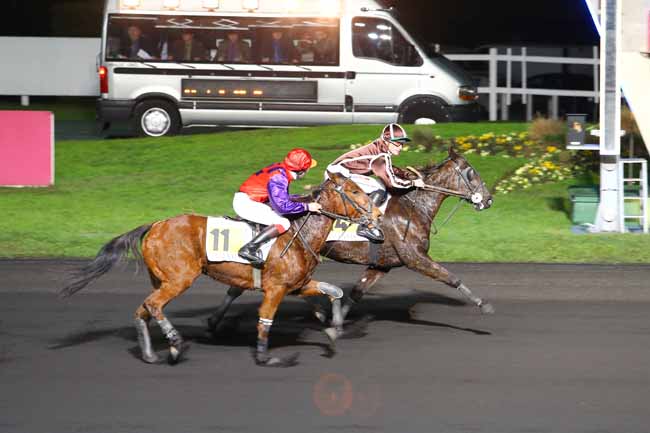 Photo d'arrivée de la course pmu PRIX MERCATOR à PARIS-VINCENNES le Mardi 13 décembre 2016