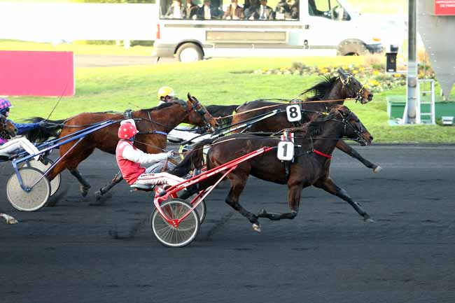 Photo d'arrivée de la course pmu PRIX LES MATHES-LA PALMYRE à PARIS-VINCENNES le Mercredi 14 décembre 2016