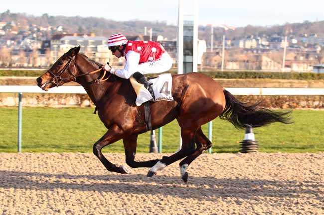 Photo d'arrivée de la course pmu PRIX DE LA PIGEONNIERE à DEAUVILLE le Mercredi 14 décembre 2016