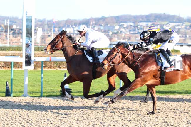 Photo d'arrivée de la course pmu PRIX DE L'AMIRAUTE à DEAUVILLE le Mercredi 14 décembre 2016