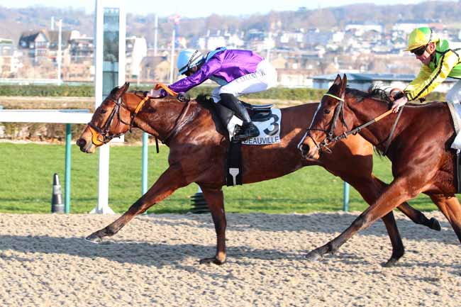 Photo d'arrivée de la course pmu PRIX DU HAUT-GUE à DEAUVILLE le Mercredi 14 décembre 2016