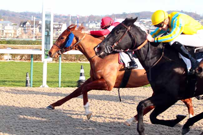 Photo d'arrivée de la course pmu PRIX DE FERGAND à DEAUVILLE le Mercredi 14 décembre 2016