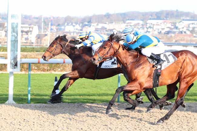 Photo d'arrivée de la course pmu PRIX DE BEAUCHENE à DEAUVILLE le Mercredi 14 décembre 2016