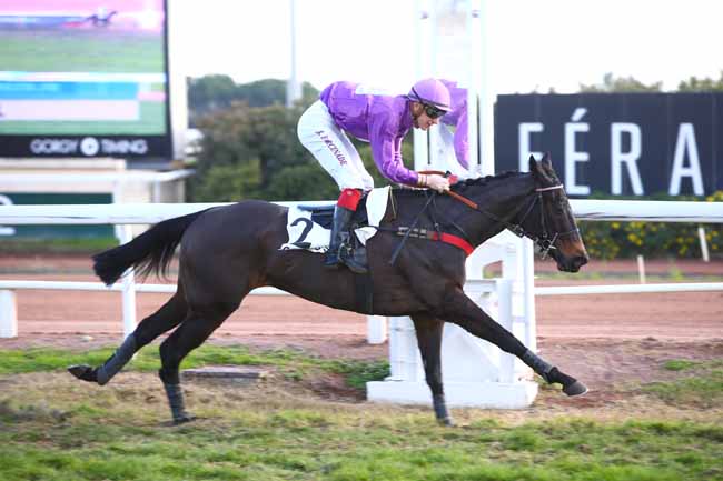 Photo d'arrivée de la course pmu PRIX DU GENERAL DU CORAIL à CAGNES-SUR-MER le Jeudi 15 décembre 2016