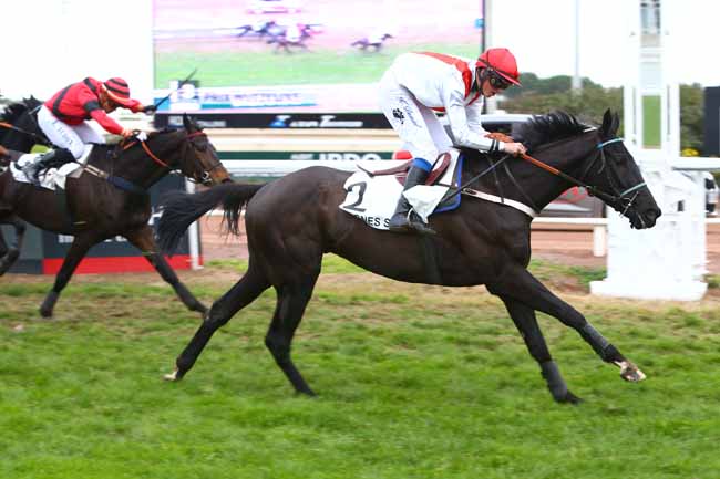 Photo d'arrivée de la course pmu PRIX WUTZELINE à CAGNES-SUR-MER le Jeudi 15 décembre 2016