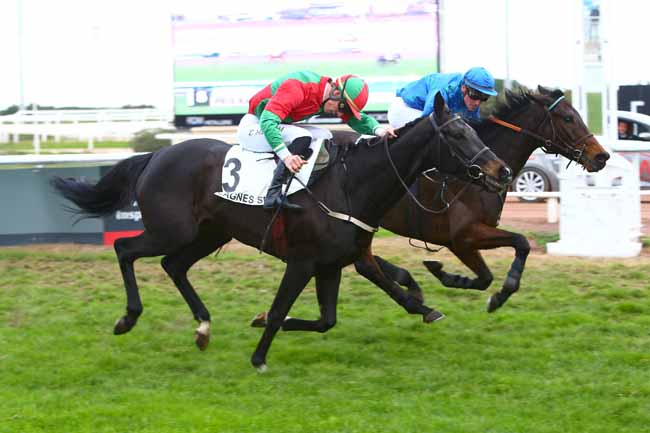 Photo d'arrivée de la course pmu PRIX KATKO à CAGNES-SUR-MER le Jeudi 15 décembre 2016