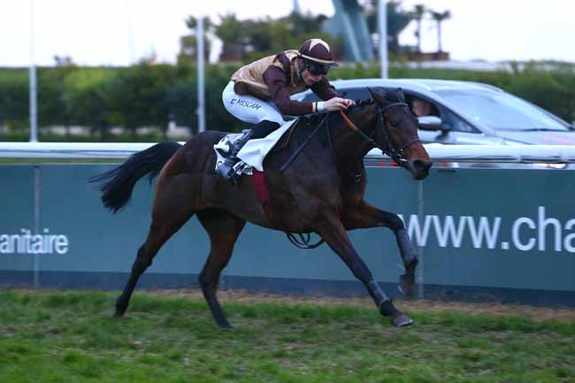 Photo d'arrivée de la course pmu PRIX JEAN-YVES BEAURAIN à CAGNES-SUR-MER le Jeudi 15 décembre 2016